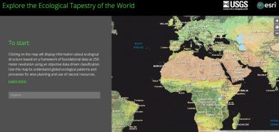 ecological tapestry of the world